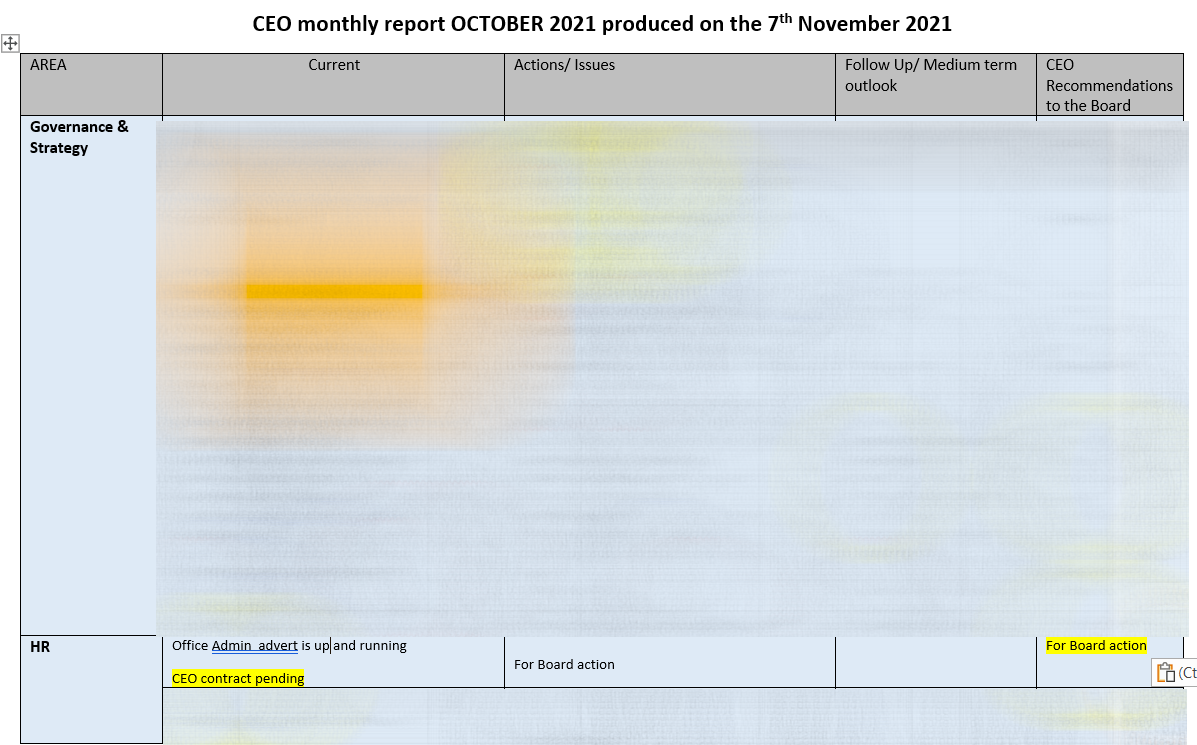 ceo report 2021